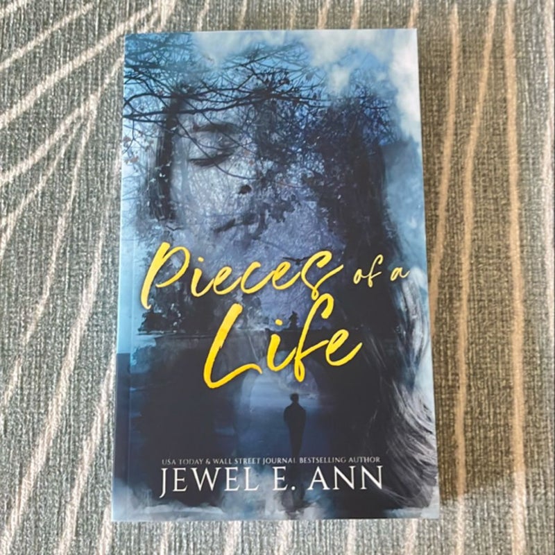 Pieces of a Life (Cover to Cover edition)