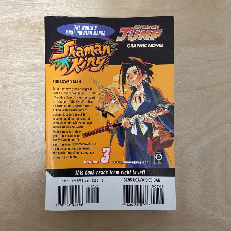 Shaman King, Vol. 3