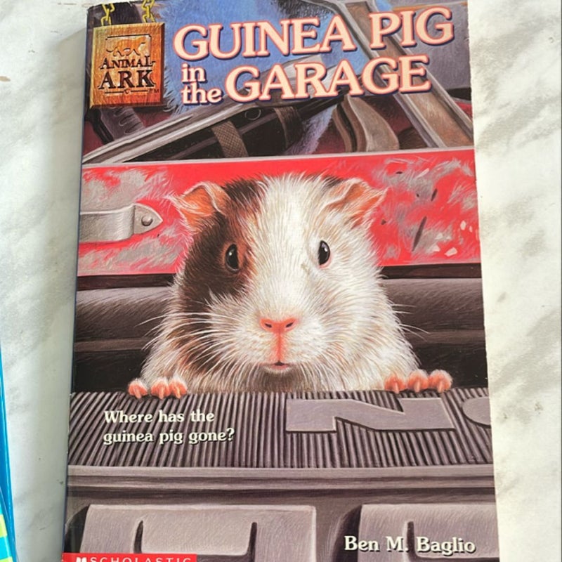 Guinea pig in the garage 