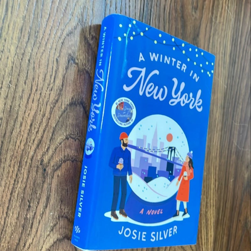 A Winter in New York