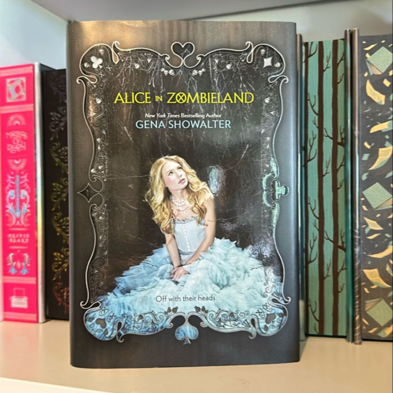 The White Rabbit Chronicles books 1-4