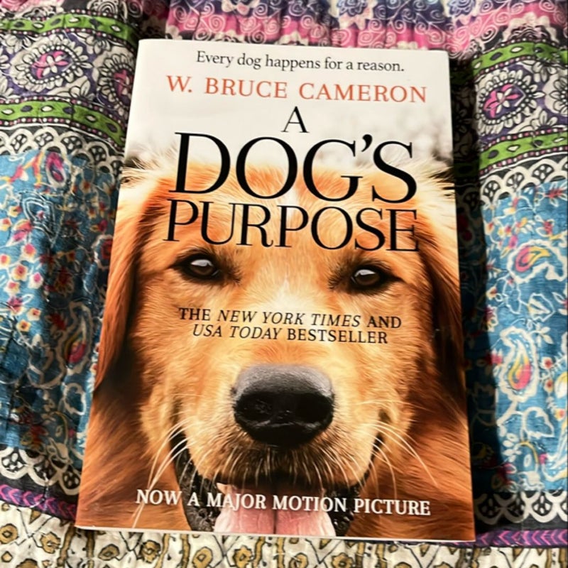 A dogs purpose 