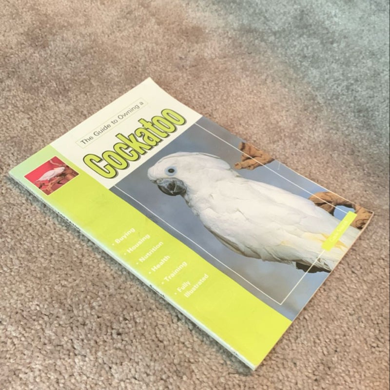 The Guide to Owning a Cockatoo