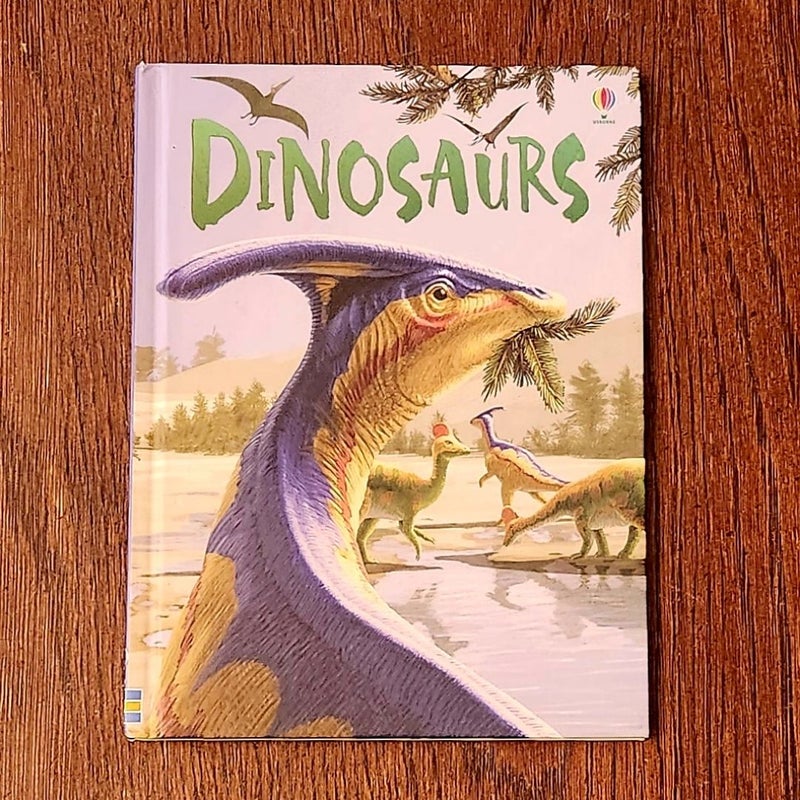 Non-fiction Dinosaur Booklot (5)