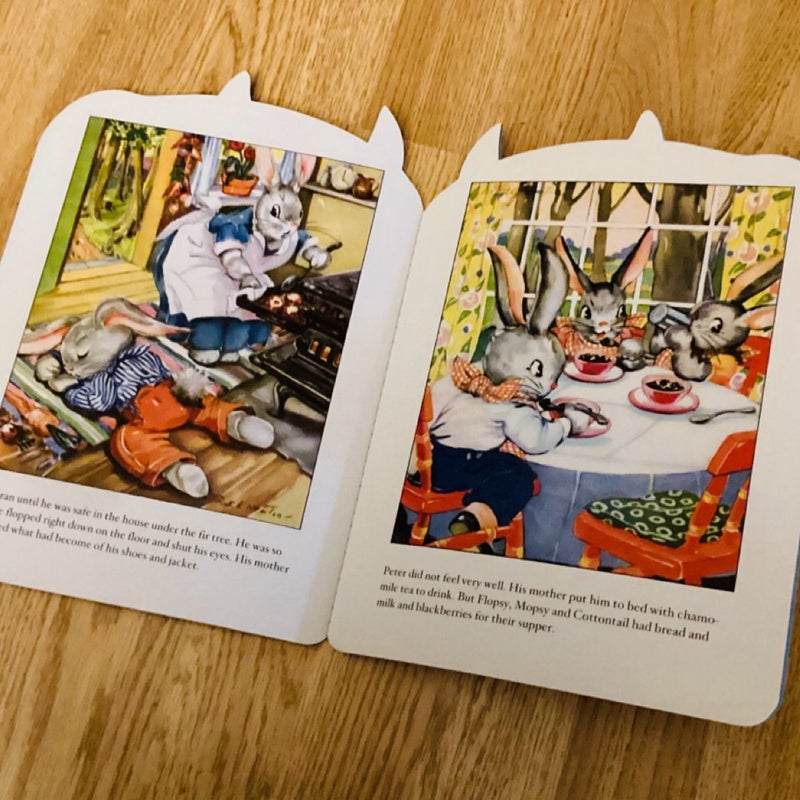 Peter Rabbit Shape Book by Ruth Newton