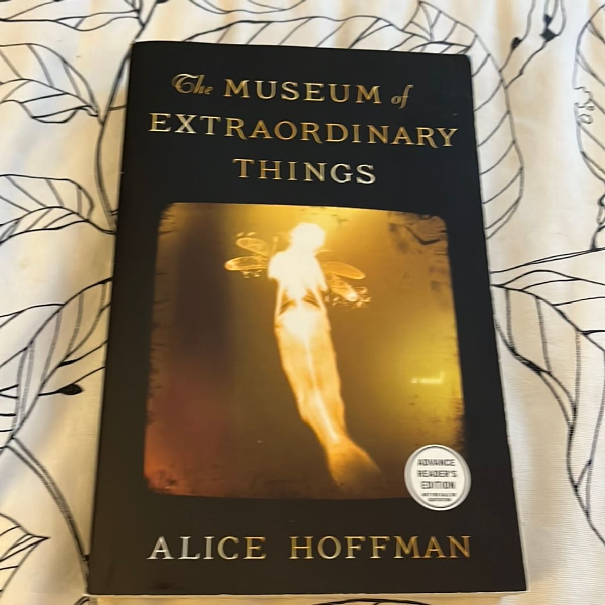 The Museum of Extraordinary Things by Alice Hoffman