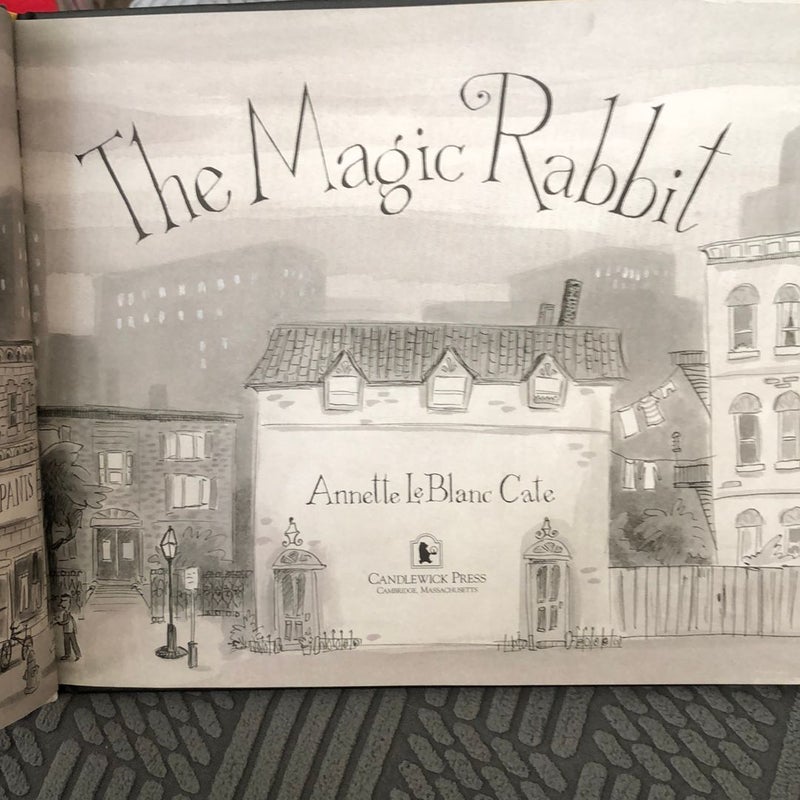 The Magic Rabbit