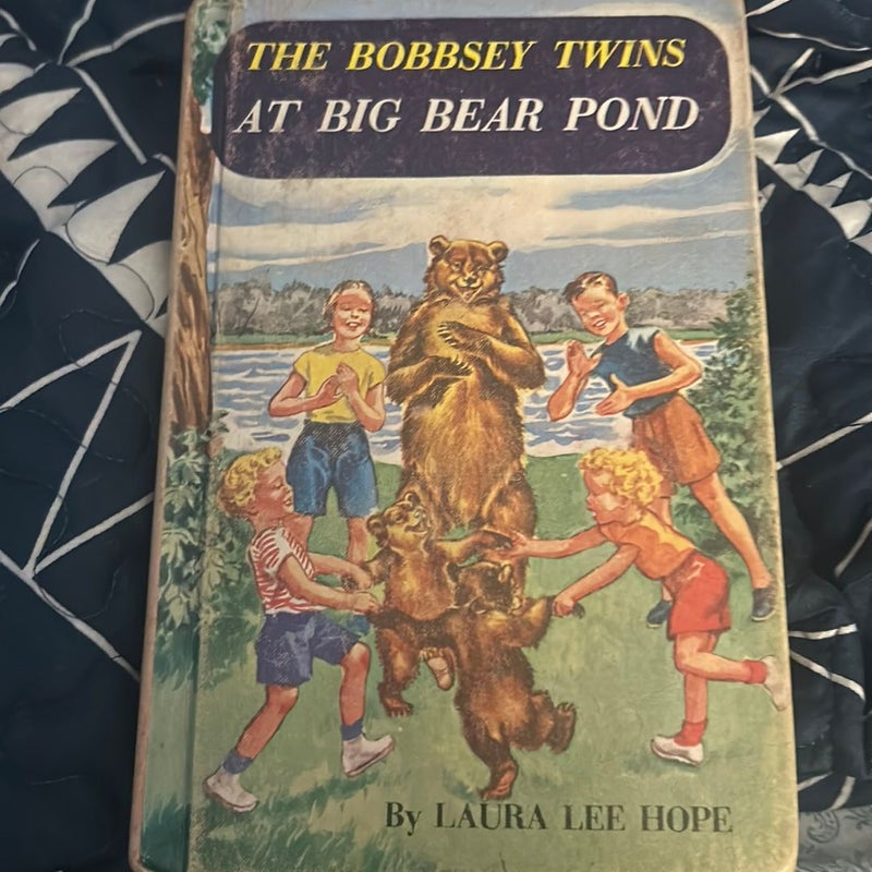 The Bobbsey Twins at Big Bear Pond