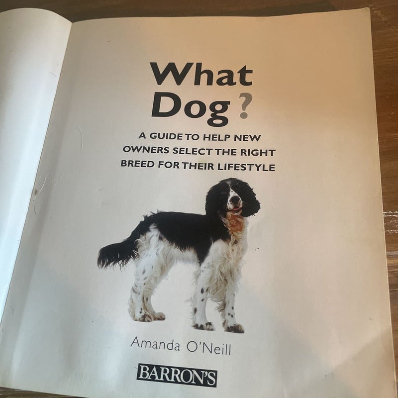 What Dog?