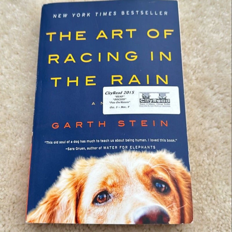 The Art of Racing in the Rain