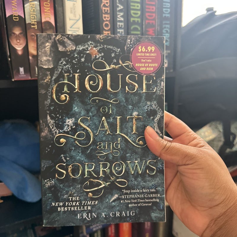 House of Salt and Sorrows