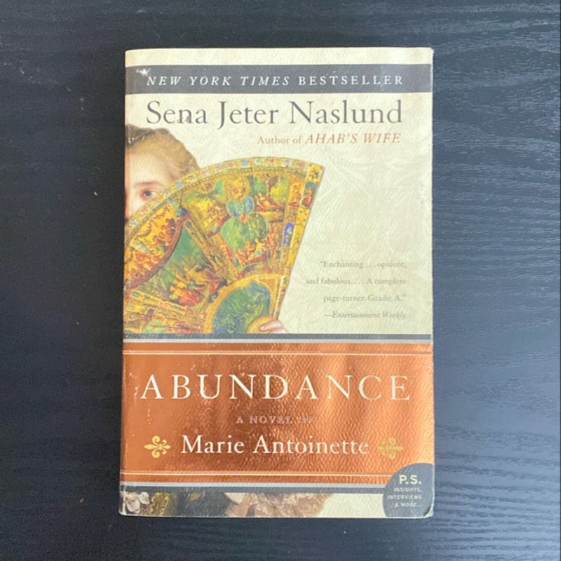 Abundance, a Novel of Marie Antoinette