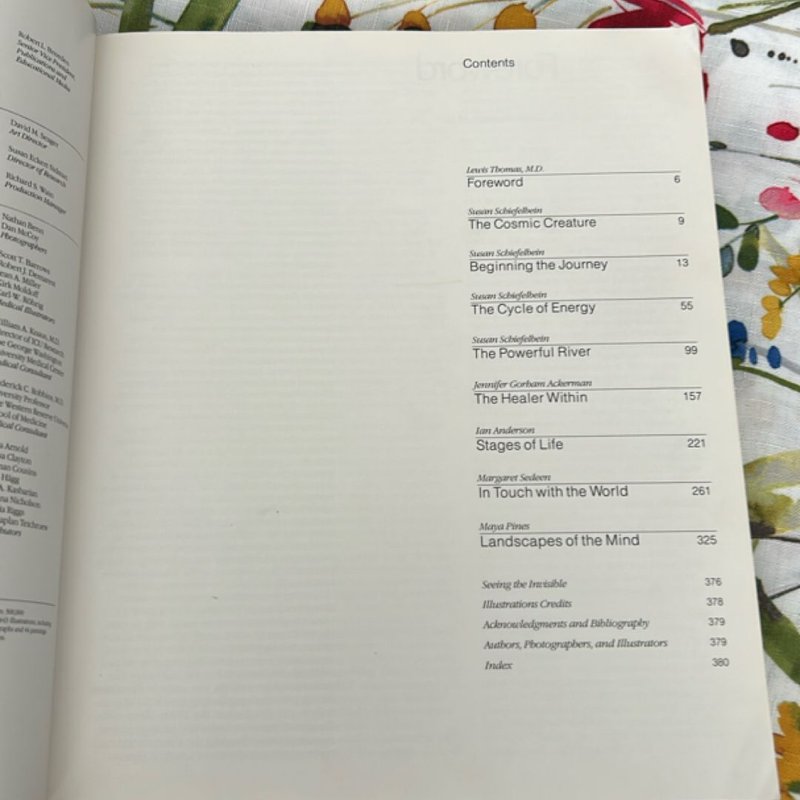 The Incredible Machine