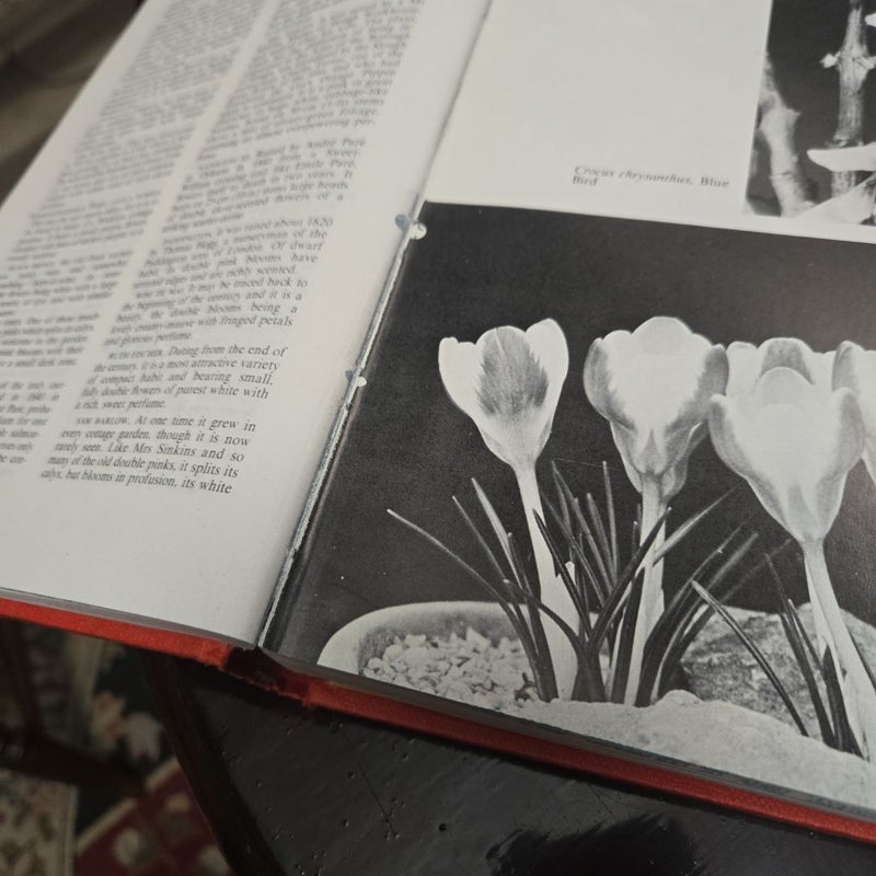 Scented Flora of the World
