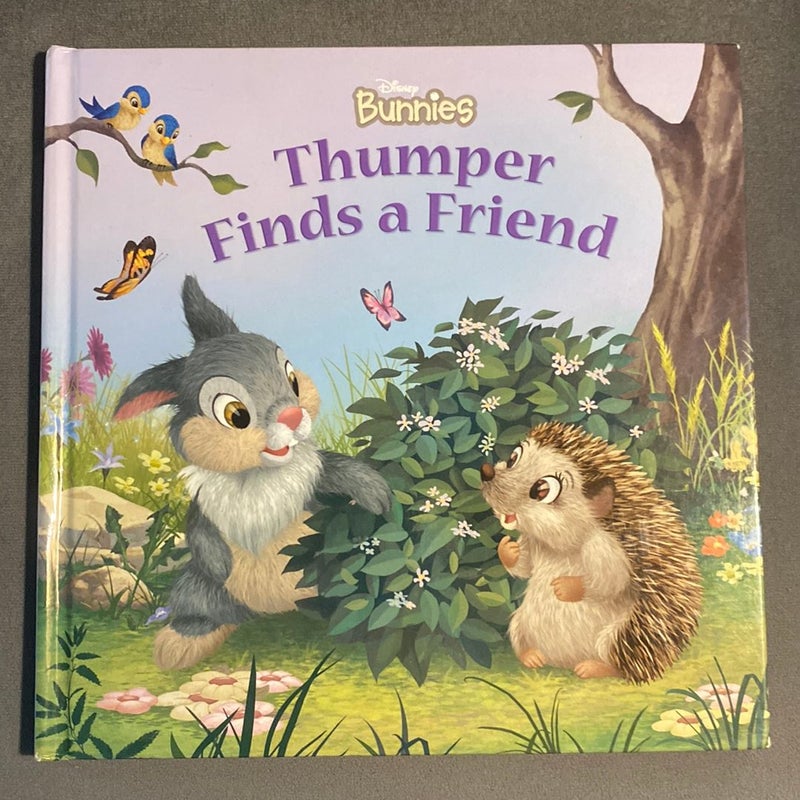 Disney Bunnies Thumper Finds a Friend