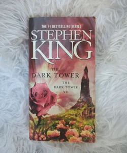 The Dark Tower VII