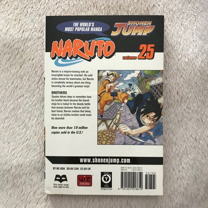 Naruto, Vol. 25