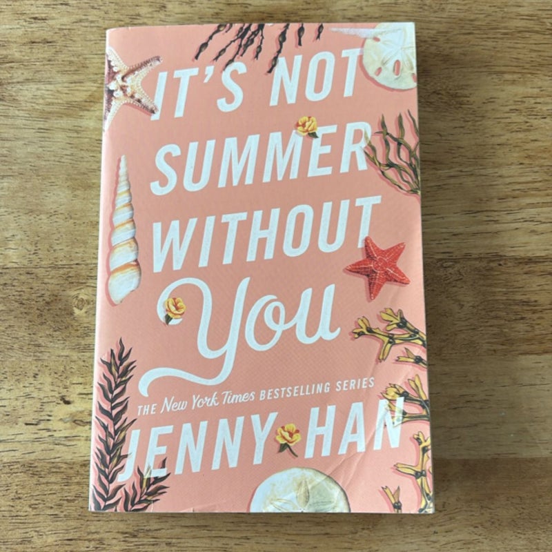 It's Not Summer Without You