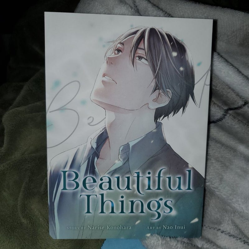 Beautiful Things: the Complete Manga Collection