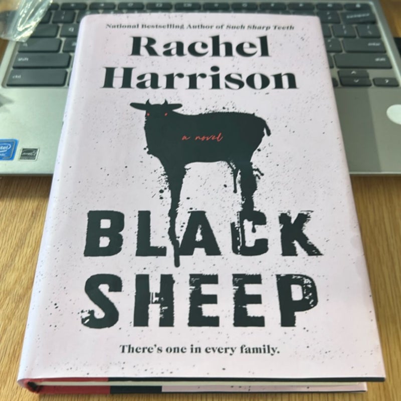Black Sheep 2023