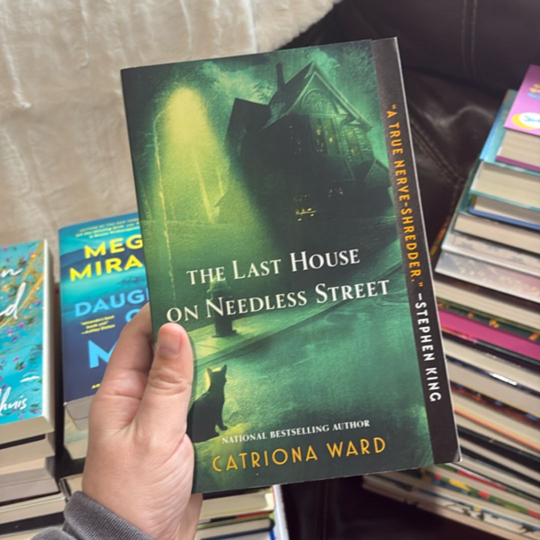 The Last House on Needless Street