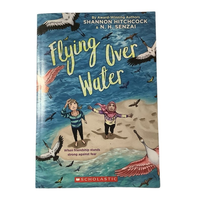 Flying Over Water