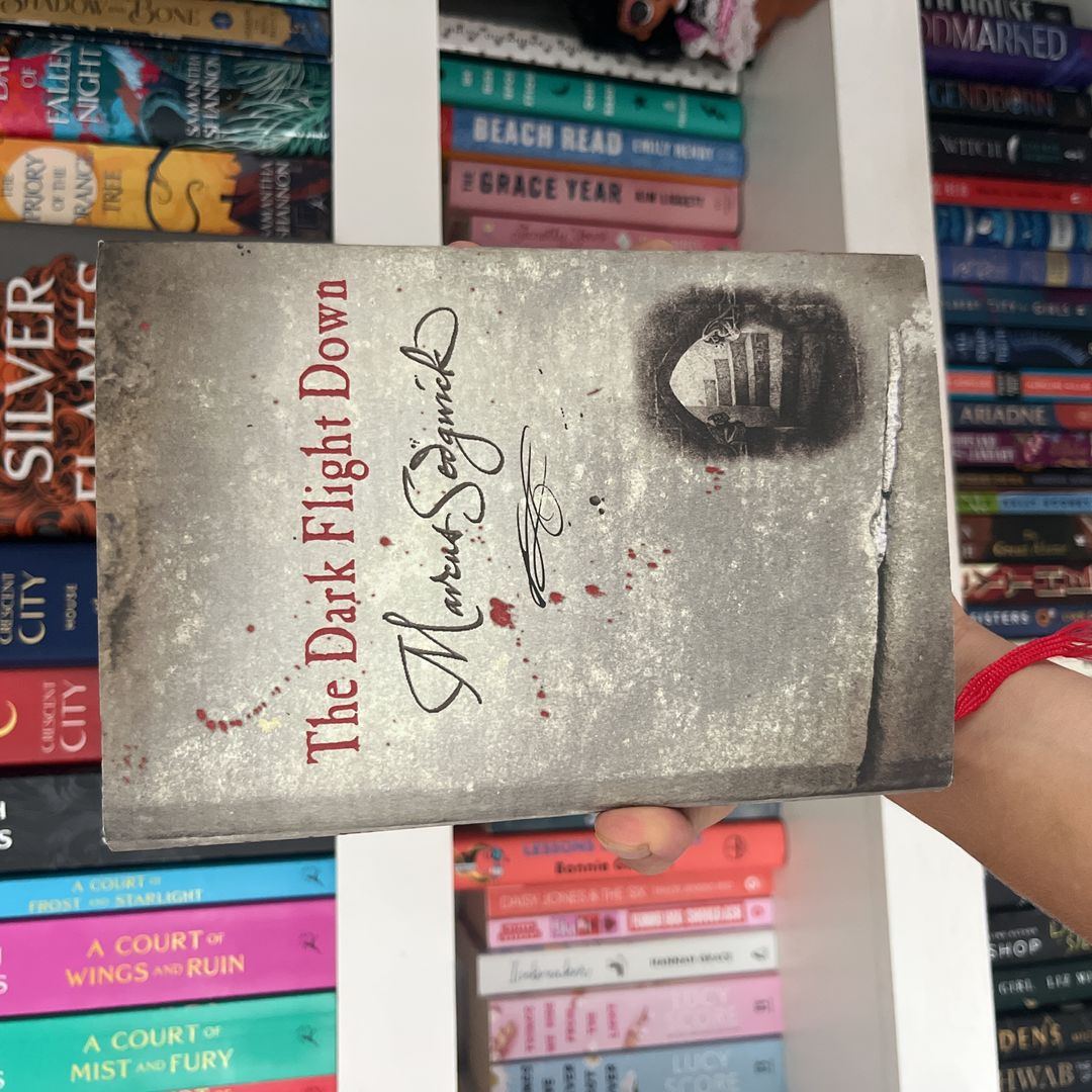 The Dark Flight Down