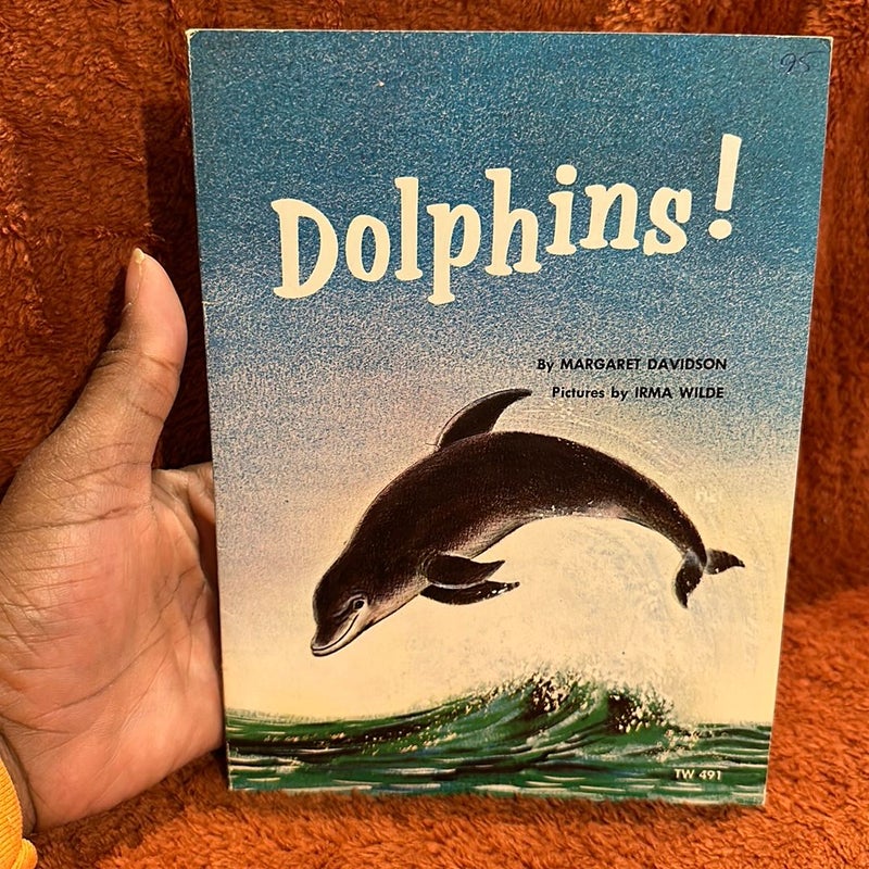 Dolphins !