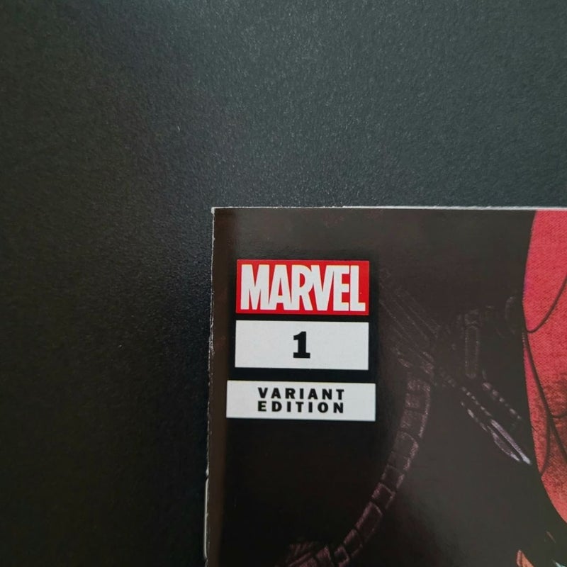 Spider-Man: Reign II #1