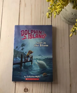 Lost in the Storm (Dolphin Island #2)