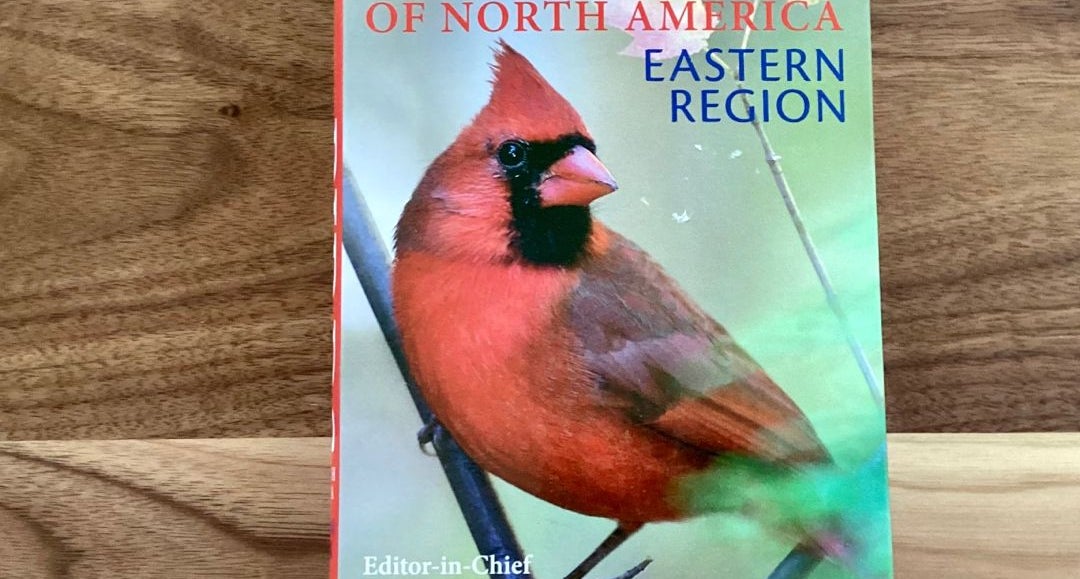 American Museum of Natural History Birds of North America Eastern Region by  DK, Paperback