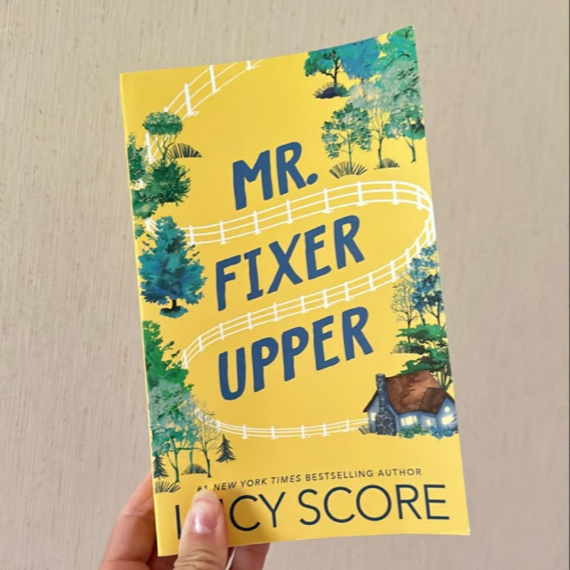 Mr. Fixer Upper