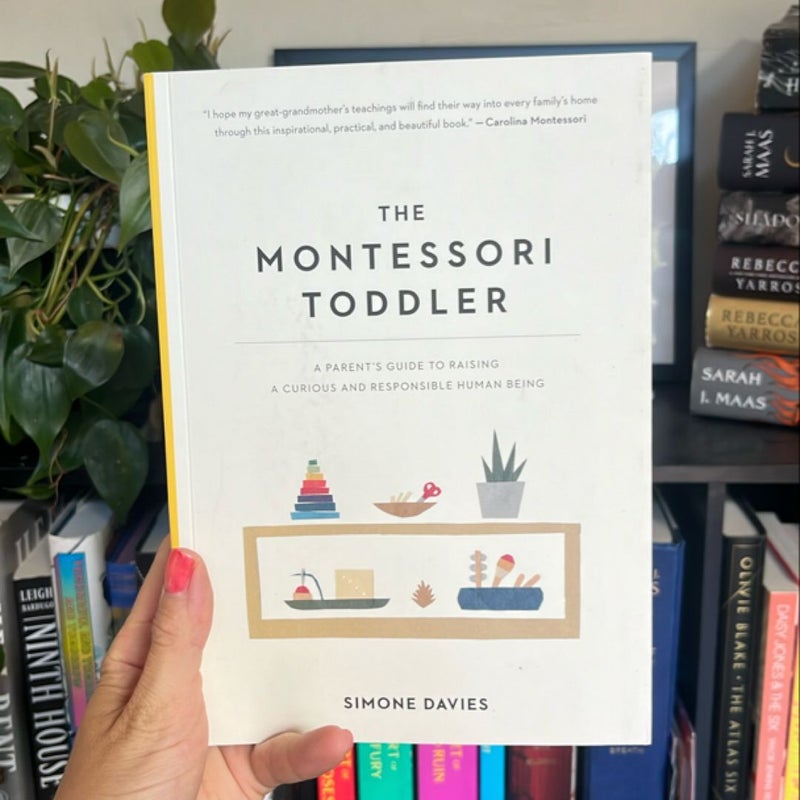 The Montessori Toddler