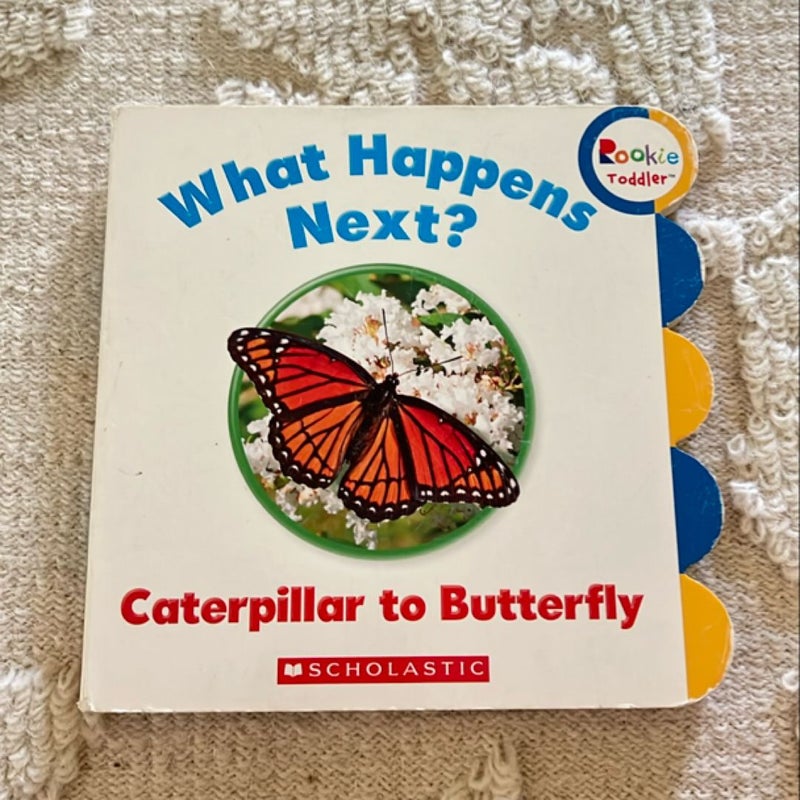 What Happens Next? Caterpillar to Butterfly