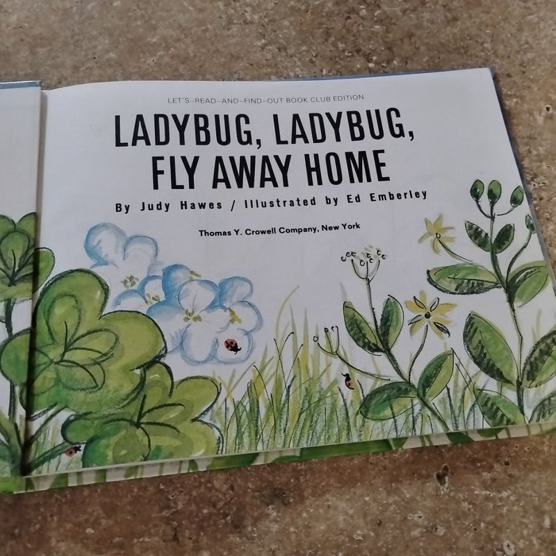 Ladybug, ladybug,  fly away home
