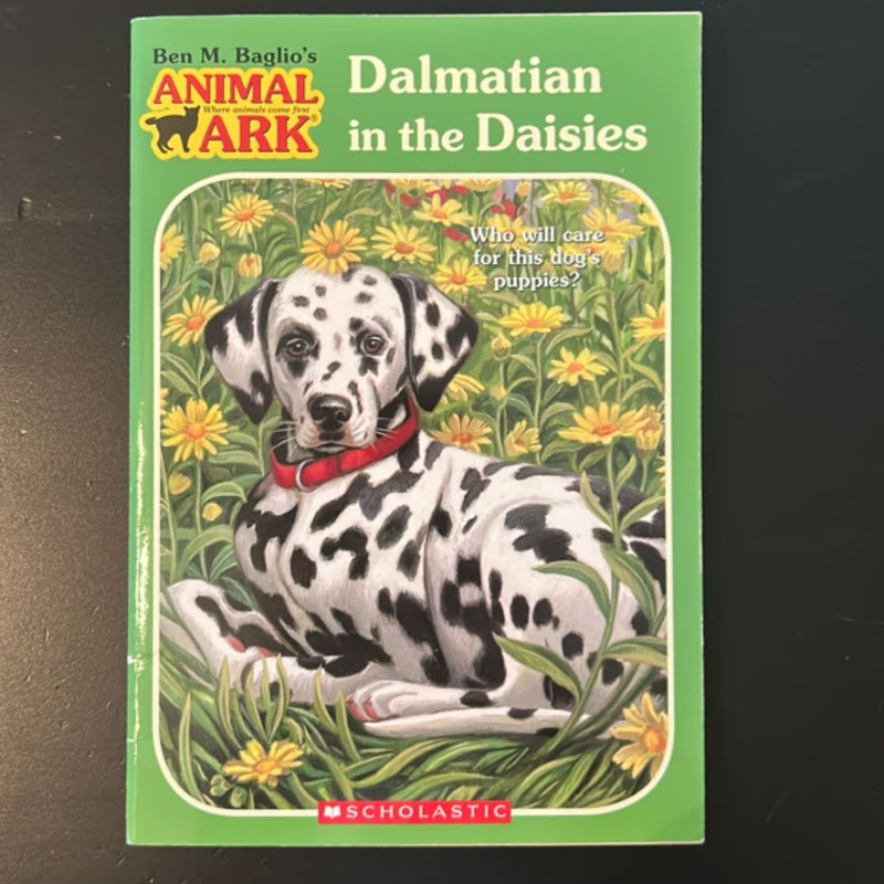 Animal Ark - 4 Books