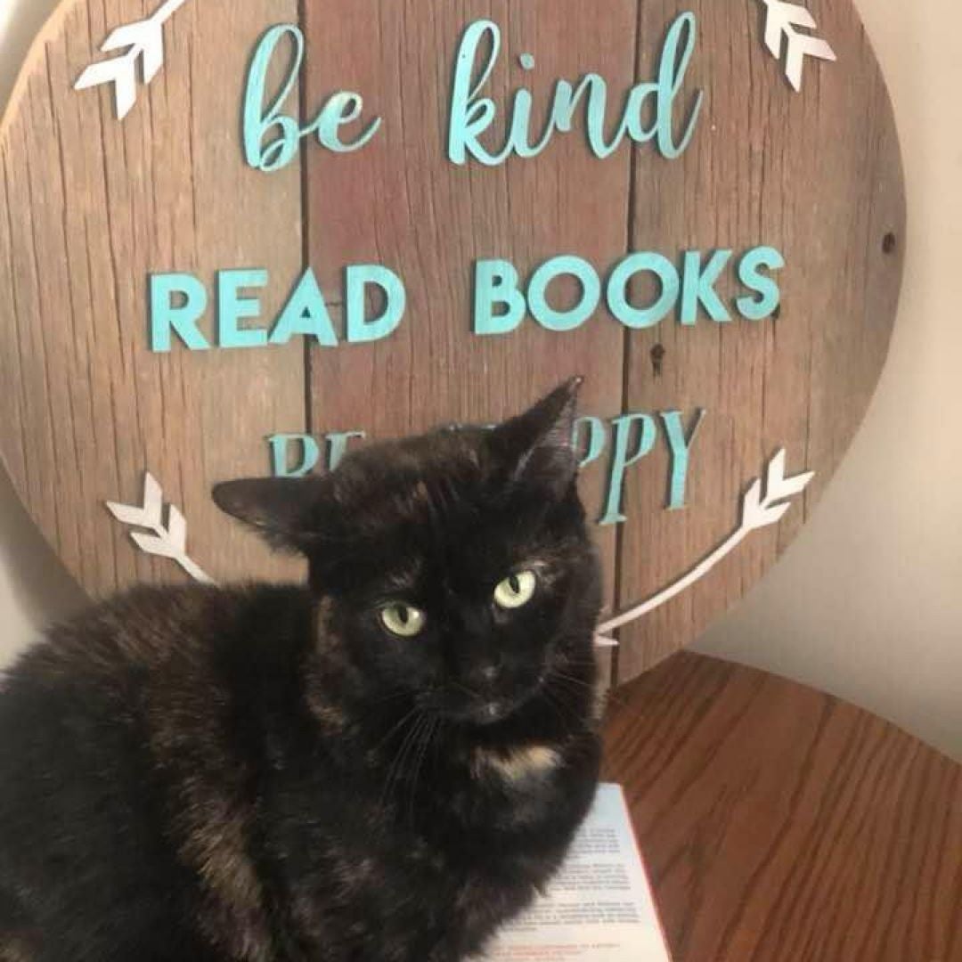 Amanda’s Used Books