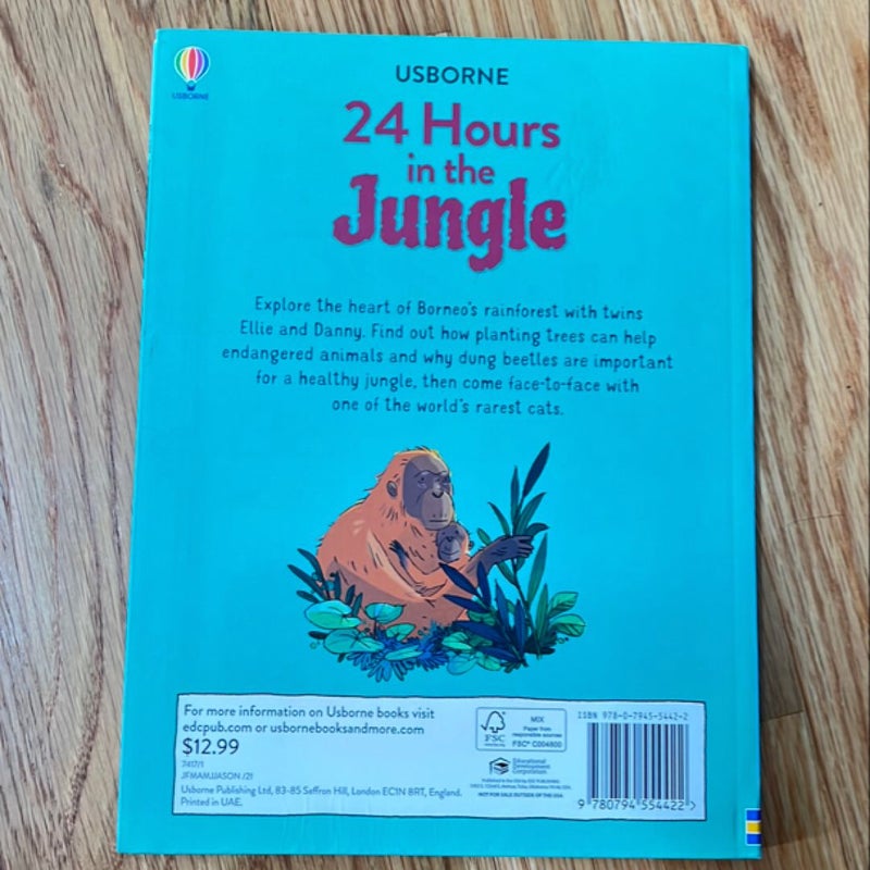 Usborne 24 Hours in the Jungle Rainforest Science Book Homeschool Teacher