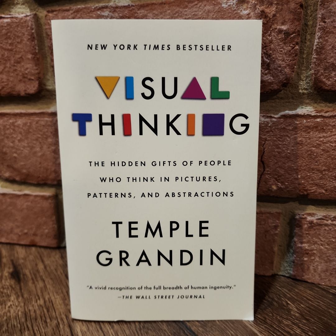 Visual Thinking