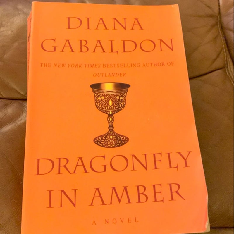 Dragonfly in Amber