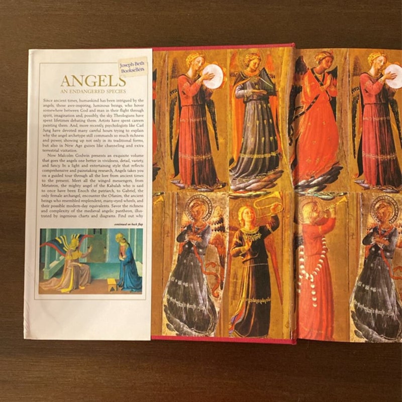 Angels An Endangered Species & Anne Neilson’s Angels Hardback Book Bundle