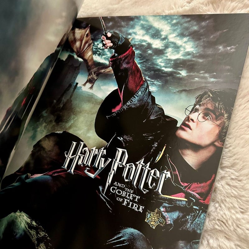 Harry Potter Poster Collection