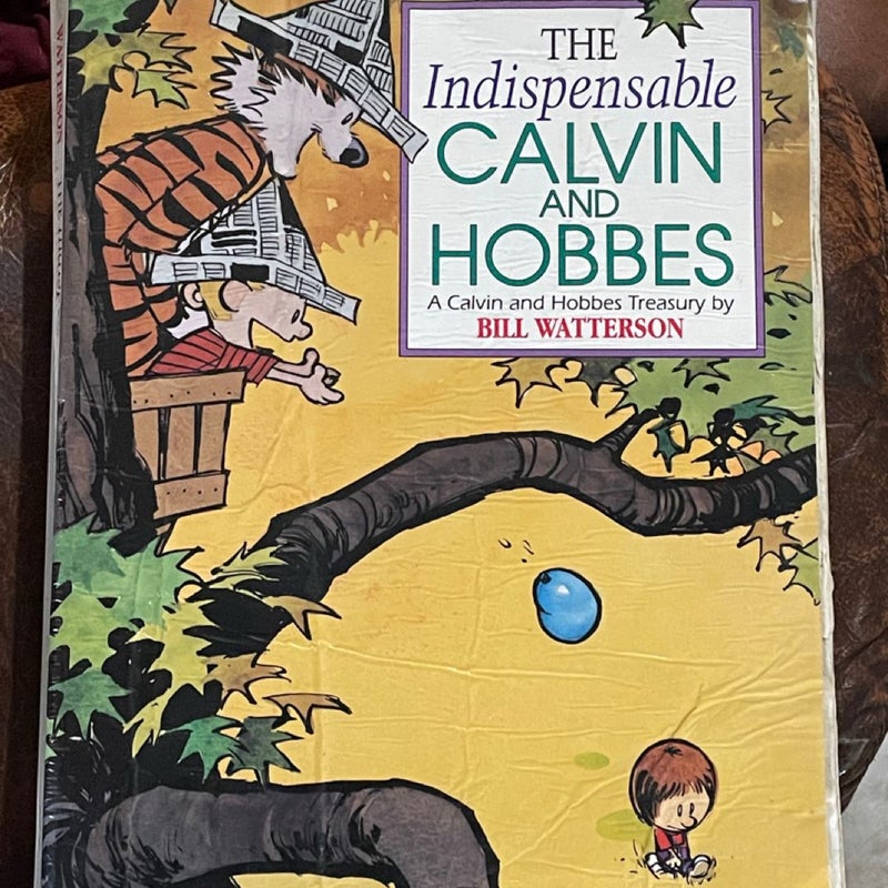 The Indispensable Calvin and Hobbes