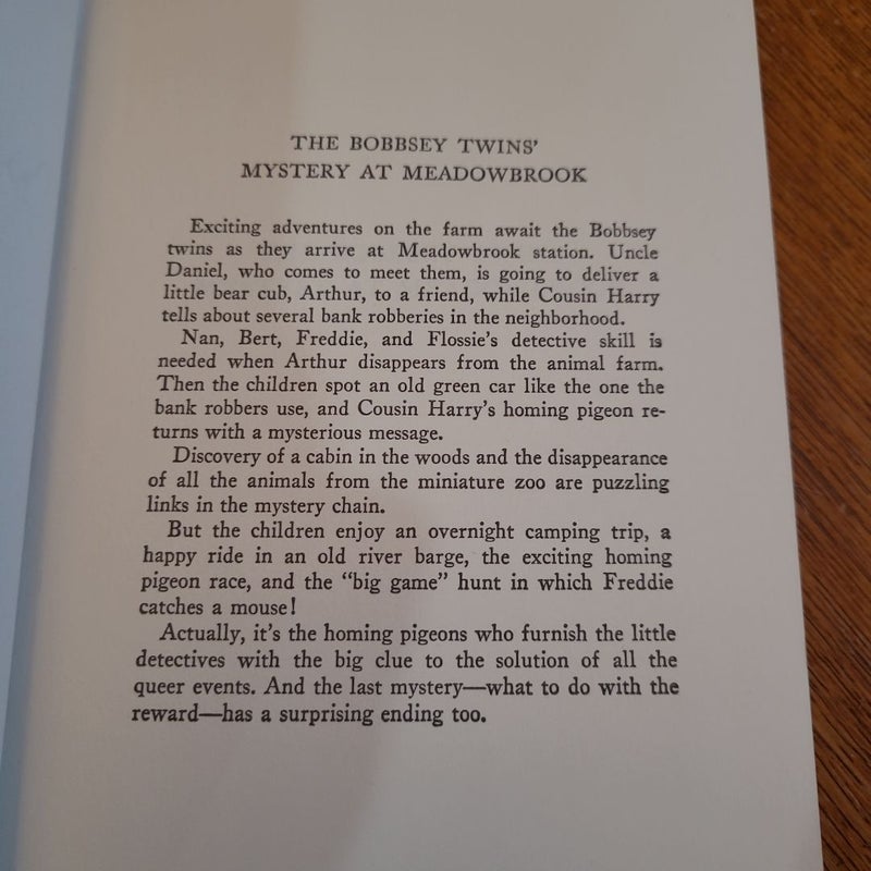 The Bobbsey Twins Mystery at Meadowbrook 