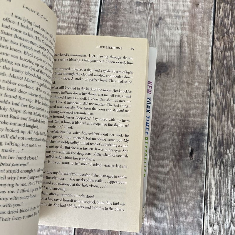 Louise Erdrich Bundle of 5 books