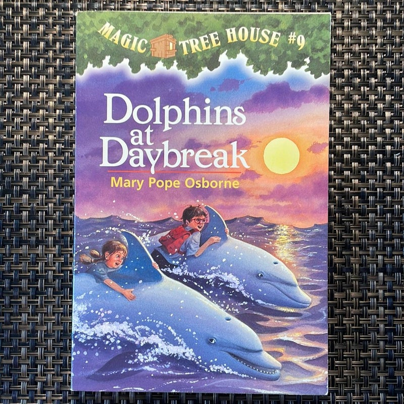 Dolphins at Daybreak