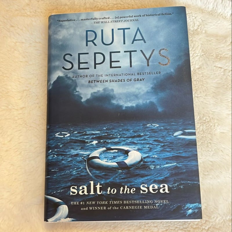 Salt to the Sea