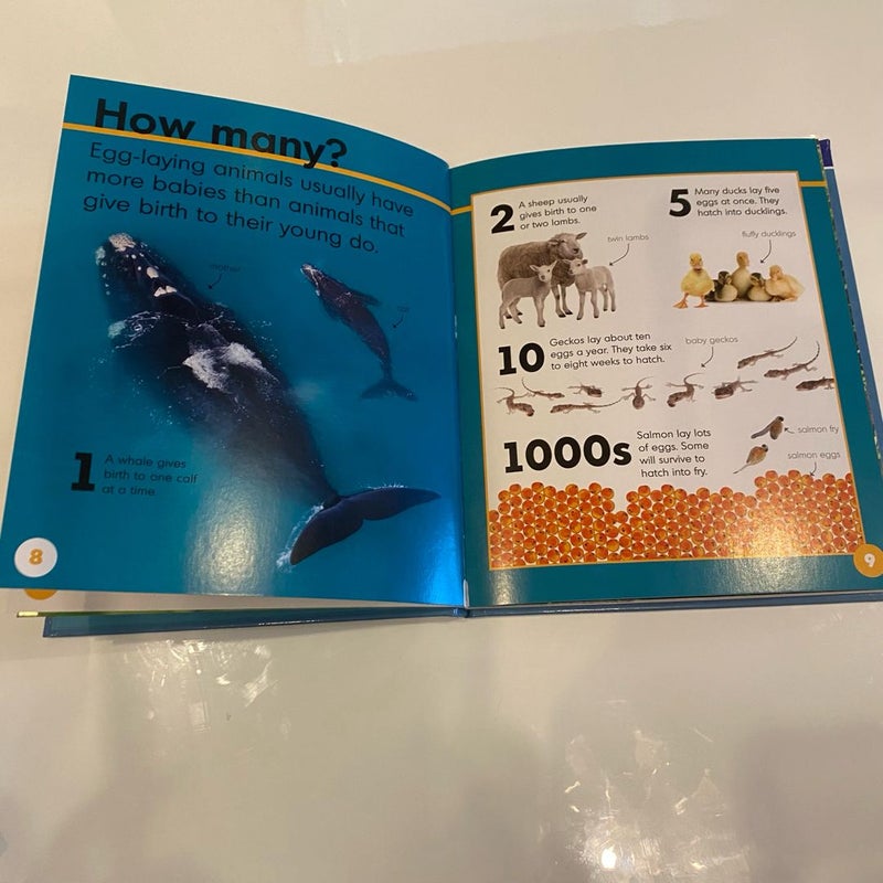 Baby Animal Books Bundle for Young Kids