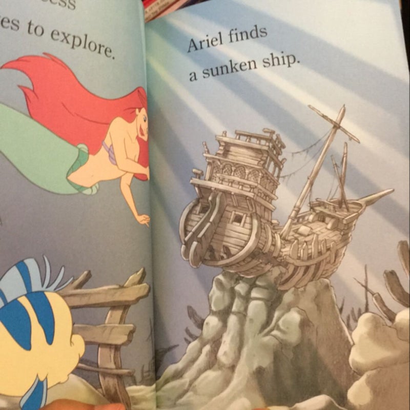 What Is a Princess? (Disney Princess)