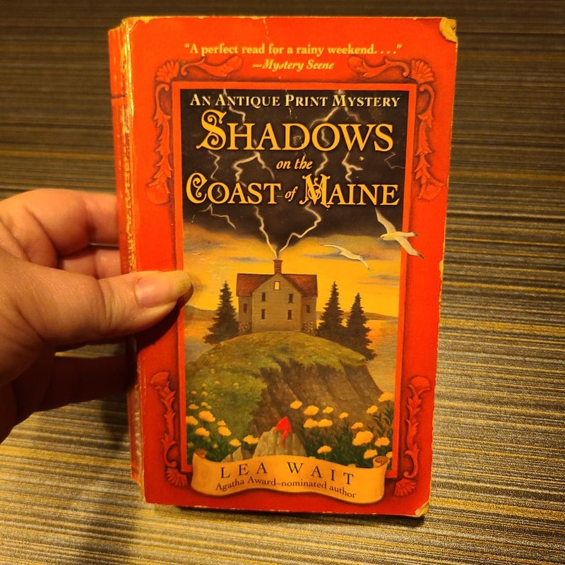 Shadows on the Coast of Maine